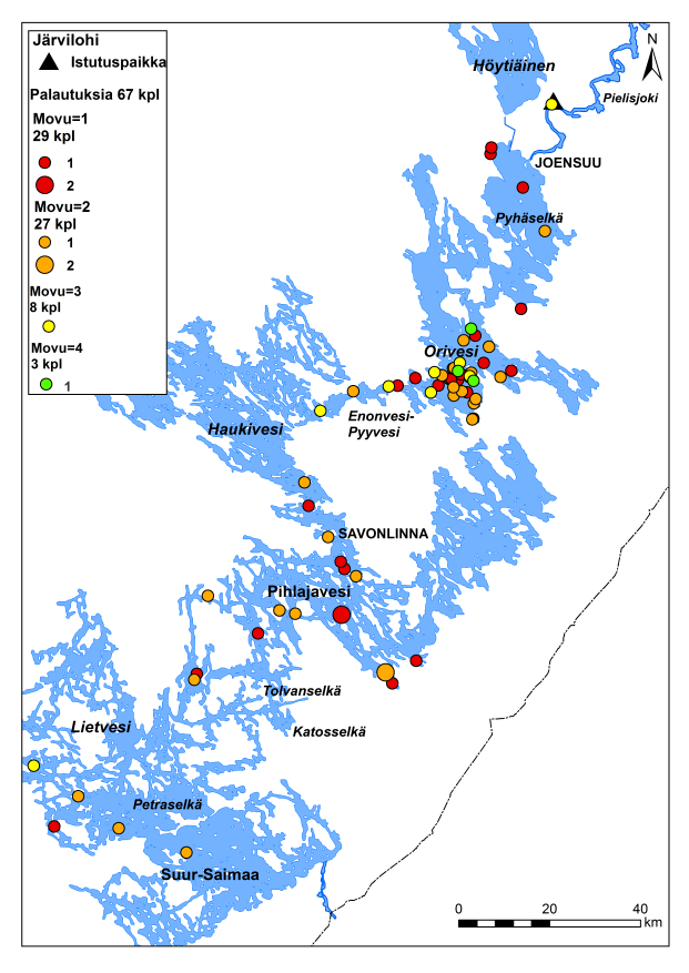 Pielisjokeen 2008-2012 istutettujen 2-v järvilohien liikkuminen ja palautusten kertymä