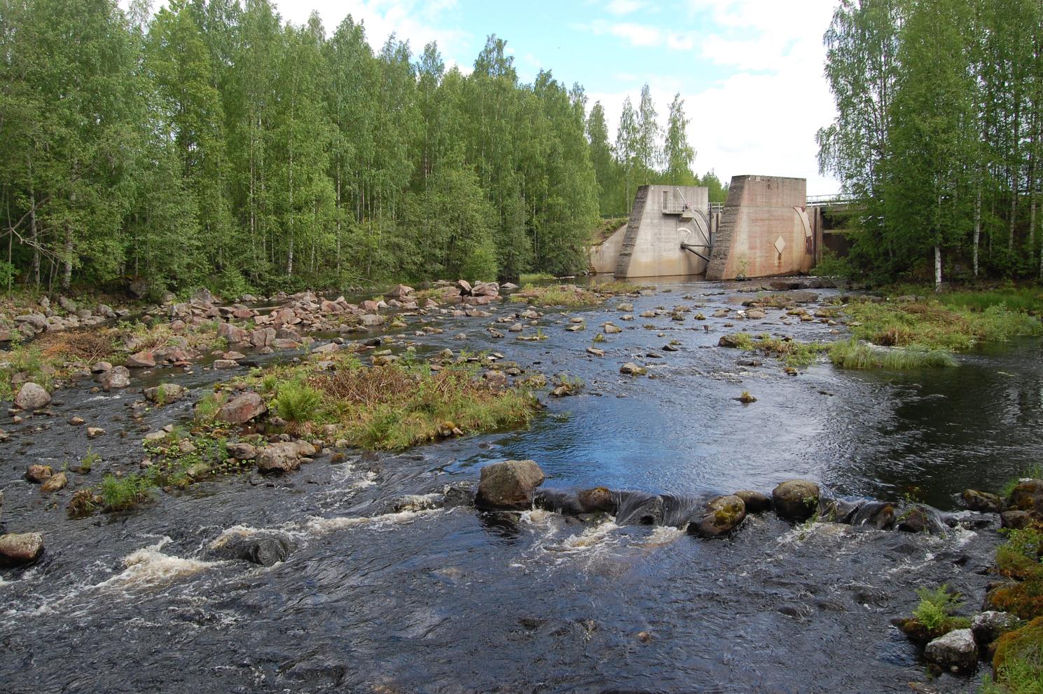 Hiiskosken pato