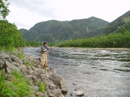 Gaula Flyfishing Perhokalastusalue Fishmasterin 6,1 km pitkä Gaula Flyfishing perhokalastusalue sijaitsee Gaula-joen keskiosalla, Störenistä alavirtaan päin ja 30-40 km merestä.