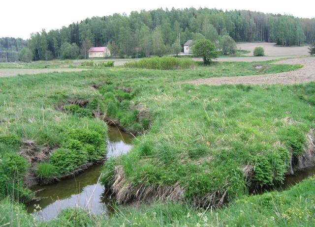 Ulkoisen kuormituksen vähentäminen Suojakaistat ja tulovesien ohjaaminen järveen tiheän rantakasvillisuuden sisälle jakautuvien