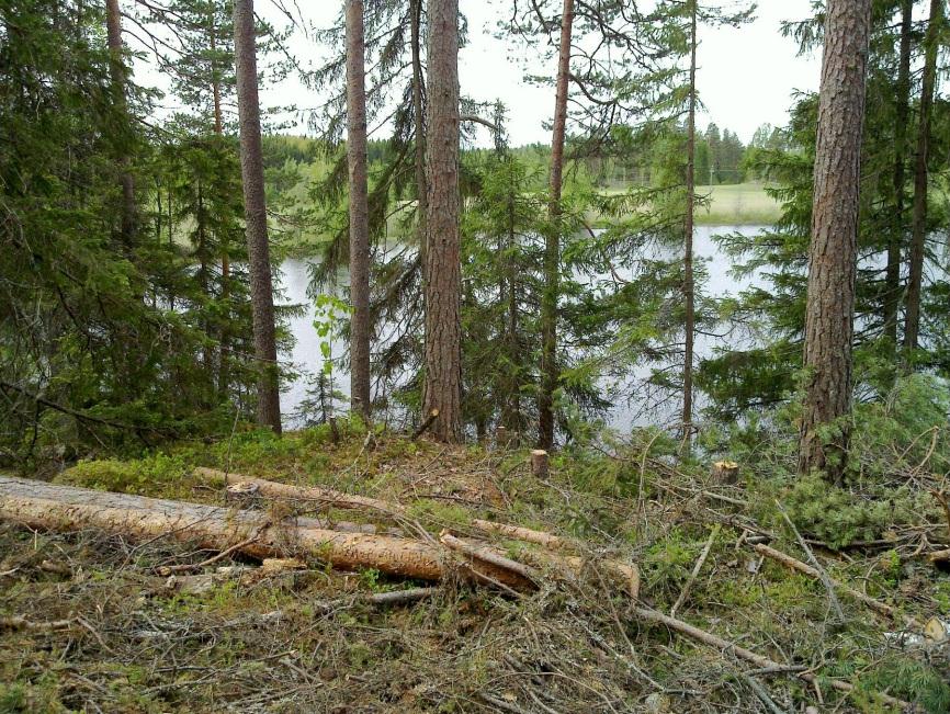 1 Ylöjärvi Kyrönlahti