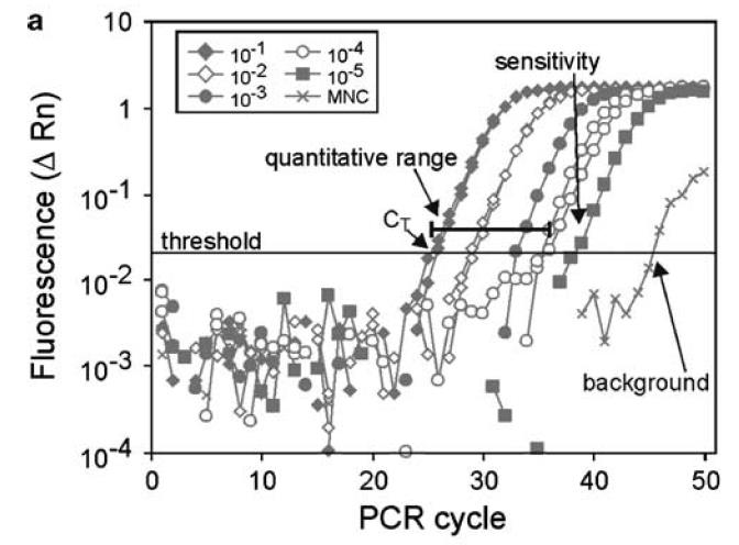 Kvantitatiiviseen PCR:ään