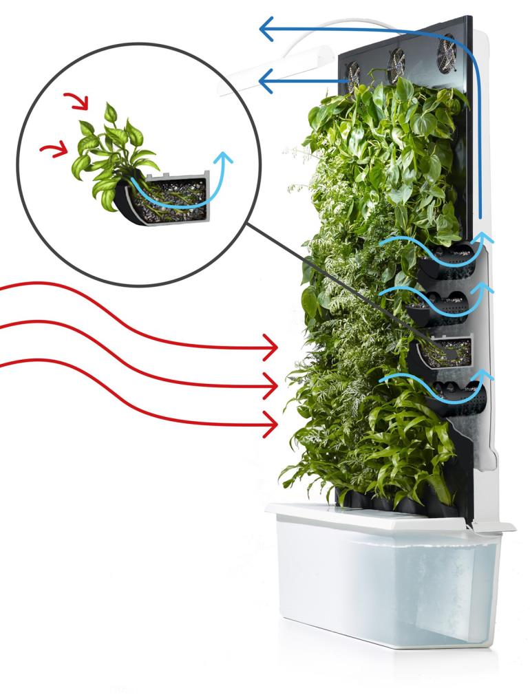 Naava älyviherseinä yhdistää luonnon ja teknologian Jatkuva ilmankierto ohjataan kasvien juuristojen läpi, jossa mikrobit pilkkovat sisäilman haitalliset kemikaalit kasvien ravinteiksi.