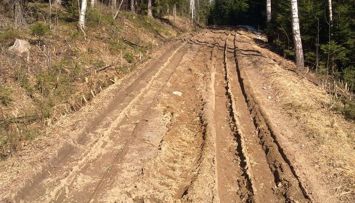 90 LIITE 21 Tämän tien varrella oli tehty hakkuita ja puut oli ajettu pois oletettavasti