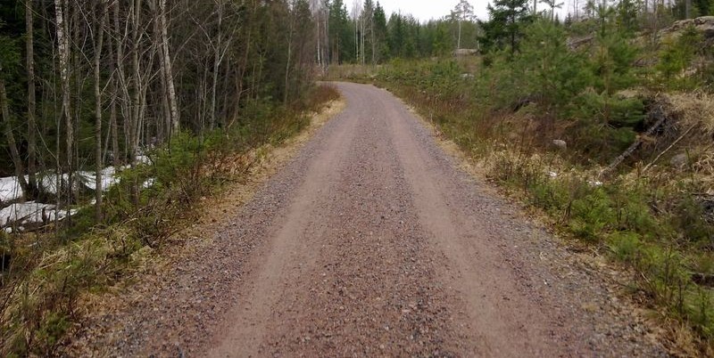 93 LIITE 24 Hyväkuntoinen metsätie. Tiellä ei ollut kuoppia, painumia, kohoumia, raiteita tai maakiviä.