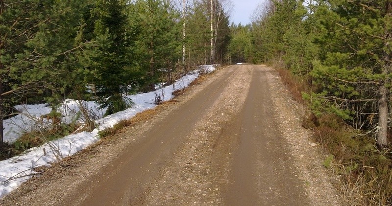 94 LIITE 25 Tyydyttävässä kunnossa oleva metsätie. Tiellä oli kelirikon aikaista pehmeyttä ja siitä syystä tielle oli muodostunut matalat raiteet.