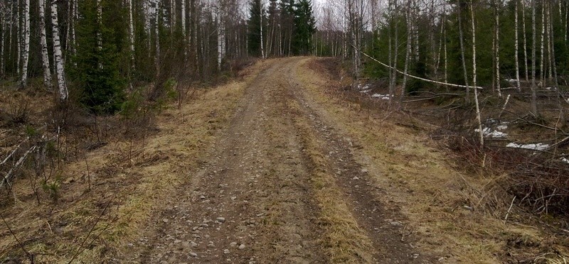 95 LIITE 26 Välttävässä kunnossa oleva metsätie. Muu osa tiestä oli pääosin tyydyttävässä kunnossa, mutta kuvassa oleva tien loppuosa oli kaikkein huonokuntoisin.