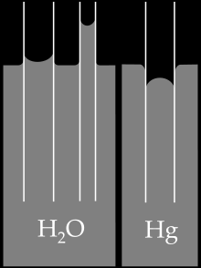 0 C and prevents lakes freezing from bottom limsapullo pakastimeen 3. Korkea kiehumispiste high boiling point korkea k.p. koska vetysidos on vahva high b.p. due to strong hydrogen bond) 4.