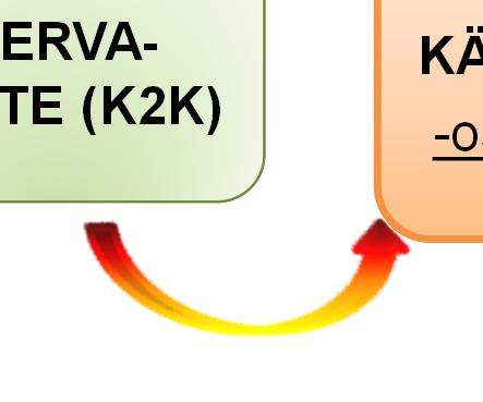 TerPS raivaa tietä Terveyden edistämisen yksikkö, KanervaKaste ja kansallinen hanke jatkaa?