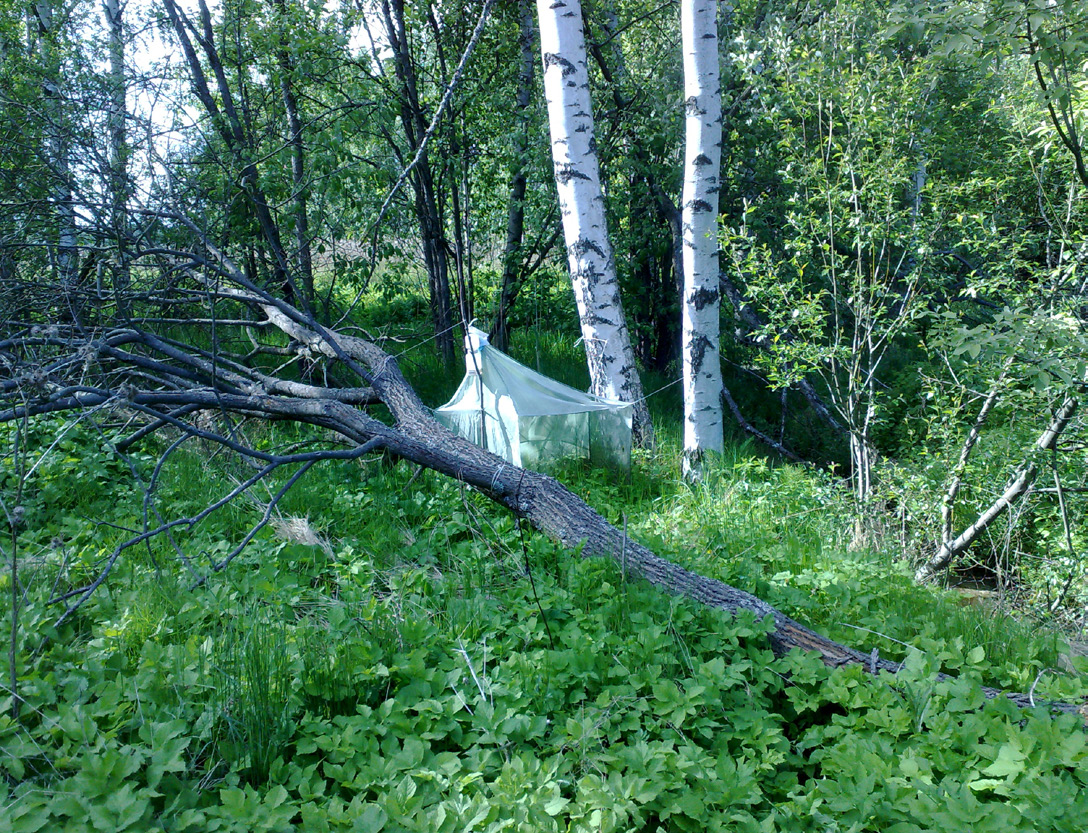 Sahlbergia 19.1-2 (2013), 53-62 Kuva/Fig. 1. Hagalundin jalopuulehto / Herb-rich deciduous forest in Hagalund (N: Loviisa) Kuva/Fig. 2.