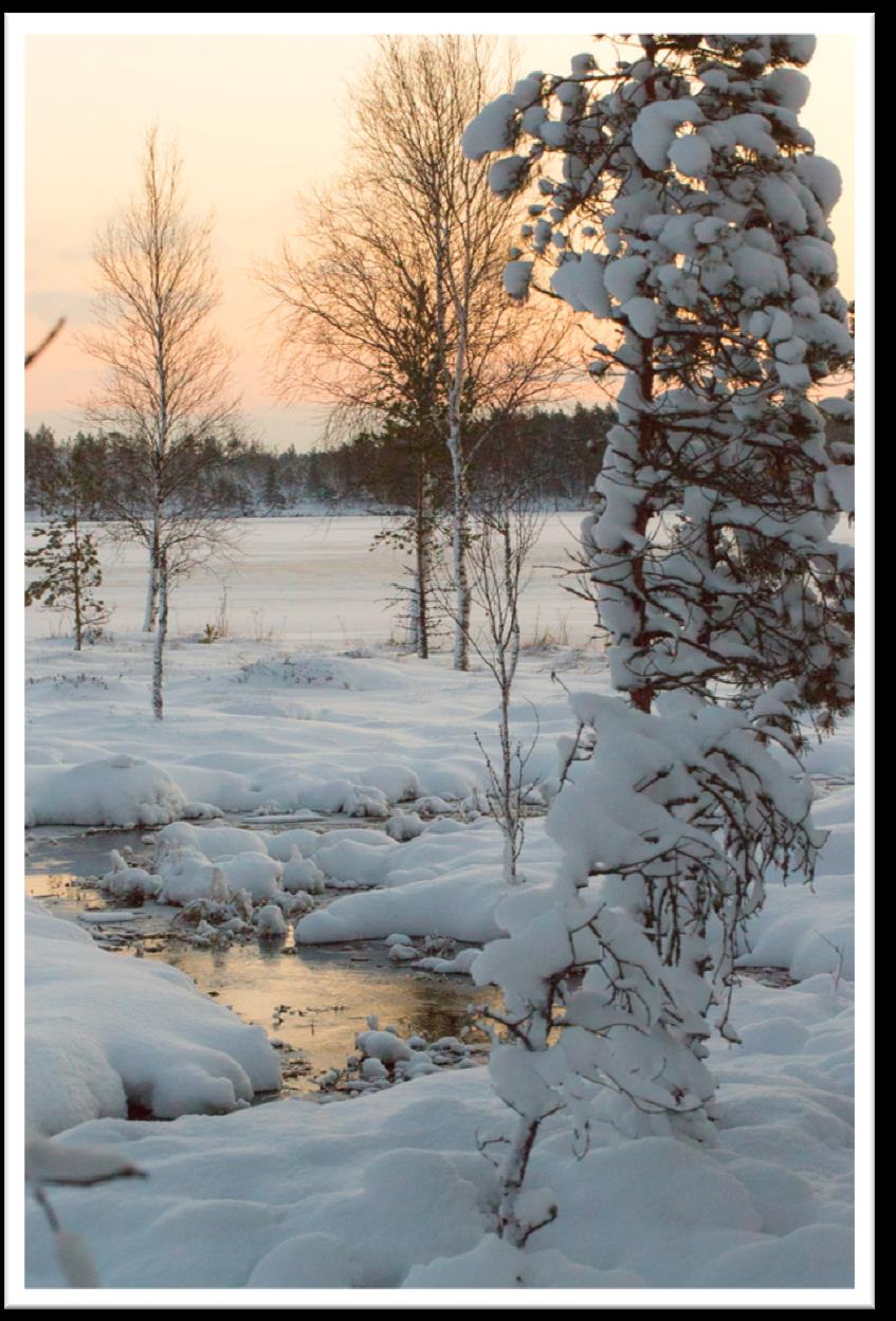Kiitos teille!