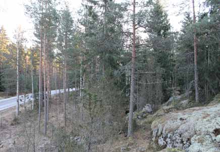 Suunnittelutehtävän määrittely ja alustavat tavoitteet Asemakaavoitus on alueiden käytön yksityiskohtaista järjestämistä.