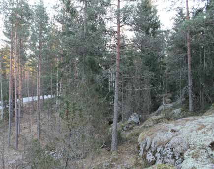 1. PERUS- JA TUNNISTETIEDOT 1.