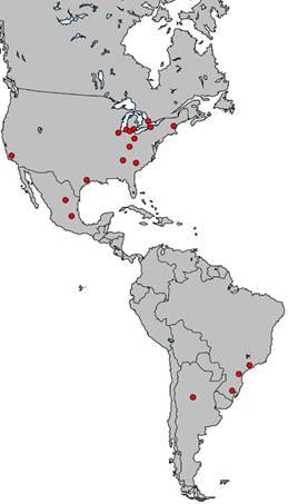 Lähellä sinua missä sitten sijaitsetkin Pohjois- & Eteläamerikka Argentina Brasilia Kanada Mexico USA Eurooppa Suomi Liechtenstein Itävalta