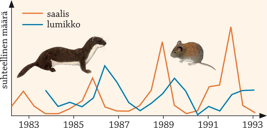 Populaatiokokoon vaikuttavia tekijöitä Kaava: Syntyvyys kuolleisuus + tulomuutto lähtömuutto