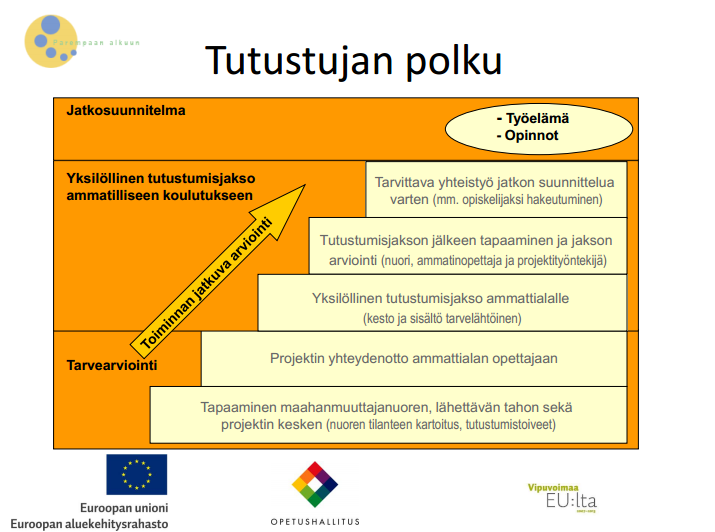 5.3 Tutustujan polku Tutustujan polku on tarkoitettu maahanmuuttajanuoren ammatilliseen koulutukseen tutustumiseen.