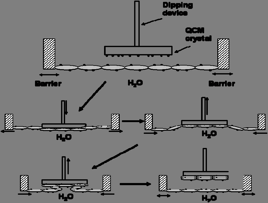 LS menetelmän periaate Substraatti koskettaa monokerrosta Jokaisen kastauksen jälkeen substraattiin muodostuu kaksoiskerros Tammelin, T. et al. Cellulose 13, (2006) 519.