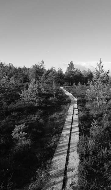 12 Lauantailenkki Arboretum Yltöinen 11.06.2011 Lähtö Tuomiokirkolta klo 09.00, matkan pituus n. 42 km. Lauantailenkki Piikkiön Alppiruusutar- haan toteutetaan ruusujen kukkiessa.