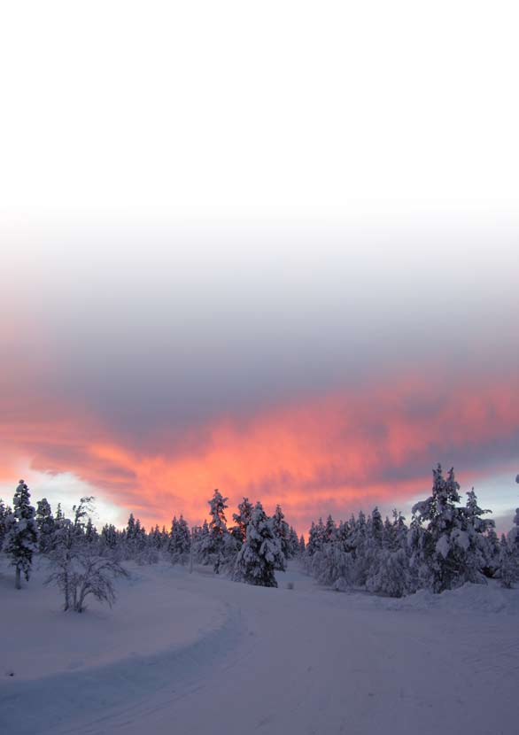 Kaamoksen aikaa, värien taikaa Kaamoshiihtoa Kiilopäällä viikolla 49, yhdessä Härkätien vaeltajien kanssa 03-10.12.2011. Lähdemme perjantaina 02.12.2011 klo 22.
