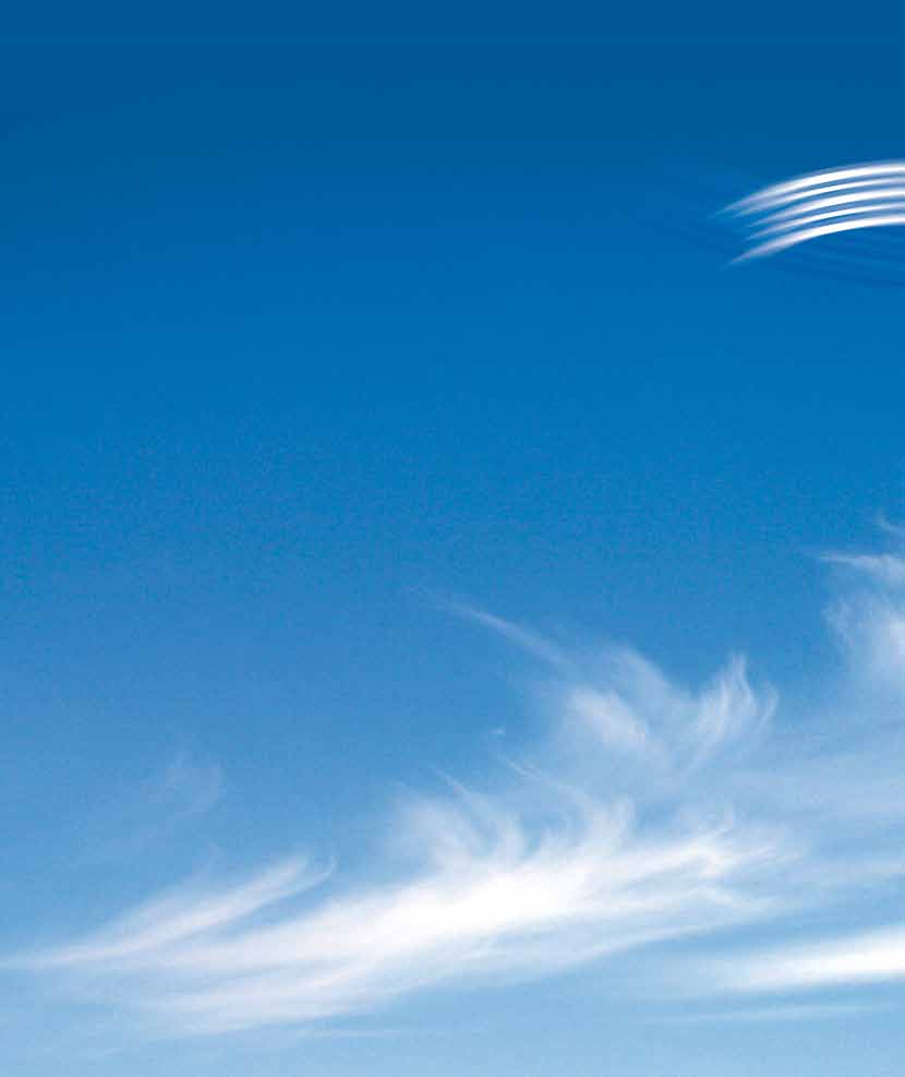 We Bring Air to Life FWG - IPSUM Optimointijärjestelmä - Tarveohjattu ilmnvaihto FI 2013.