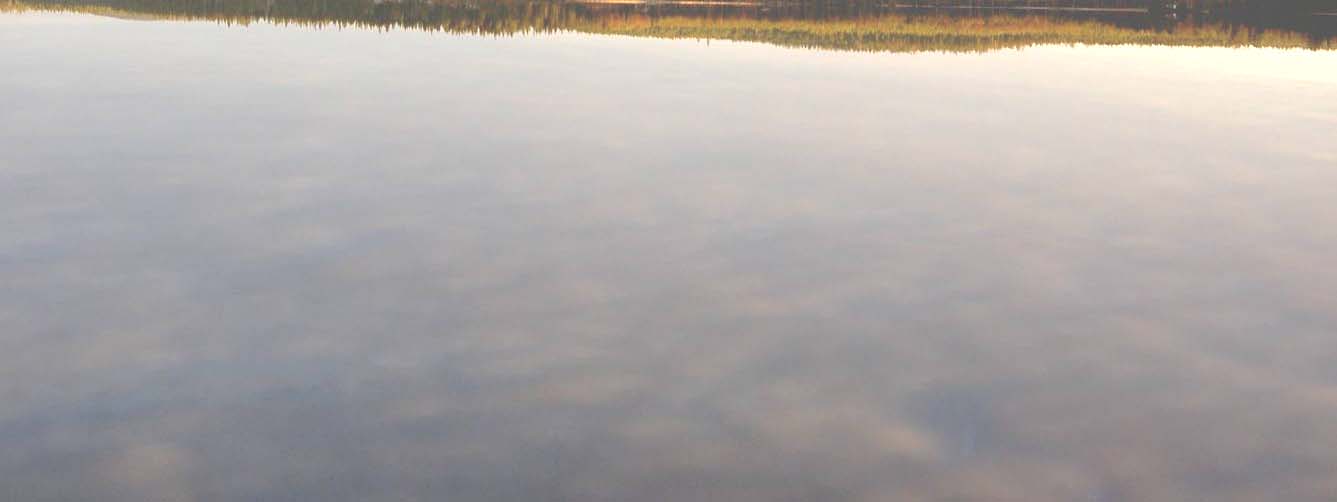 Viiksjärven