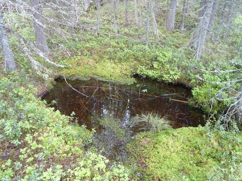 luonnonmaisemaa. Erityisiä maisemallisia kiintopisteitä ei ole (voimalinjan ohella). Eteläosaan laskea uoma on luonnontilaisen kaltainen ja lienee metsälain mukainen kohde.