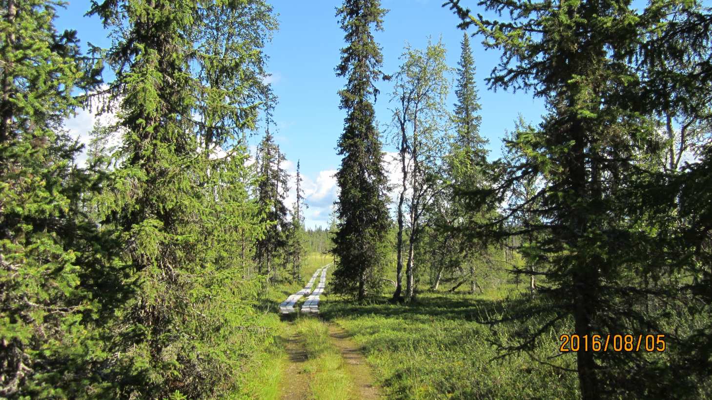 Alkumatkasta suojaksojen ylittävät pitkospuut olivat melko hyvänkuntoisia, jopa mönkijällä ajettavia, koska niissä oli kaksi pitkospuuta rinnakkain.