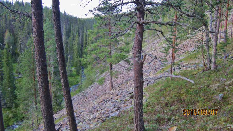 kertoo. Vesipaikka myös löytyi laavun lähettyviltä, jossa oli kosteikkoa ja Keskihaaran alkulähteitä oleva puro. Aamupalan jälkeen oli aika pakata rinkka ja lähteä kohti Peuraselän autiotupaa.