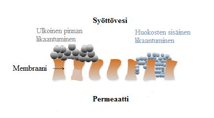 8 kerrostumia membraanin pinnalle (Tijing, et al., 2014).