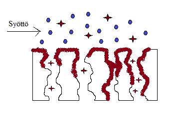 9 Kuva 5. Adsorption aiheuttama likaantuminen. Membraanin pintaan kiinnittyneet molekyylit, atomit tai geeli tukkivat huokoisen pinnan. Myös vesikanavat tukkeutuvat osittain tai kokonaan. 3.