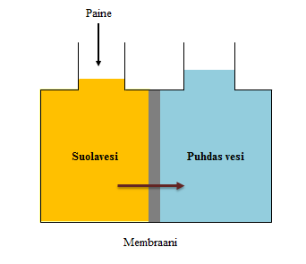 6 Kuva 2. Käänteisosmoosin toimintaperiaate (Gutman, 1987) 3.