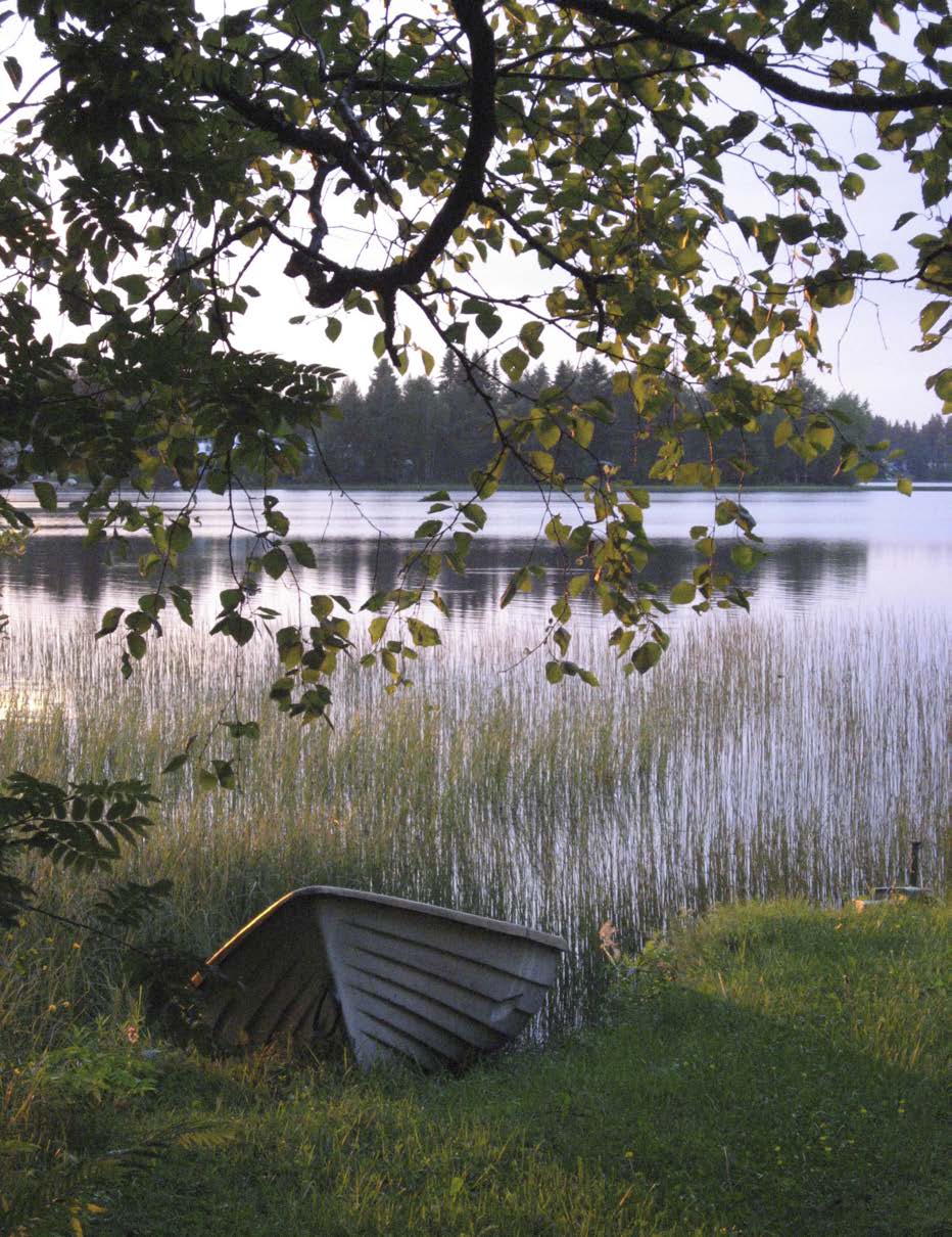 Tämän jälkeen vastaajilta kysyttiin syitä maksuhalukkuudelleen tai maksuhaluttomuudelleen. Kyselyn lopussa oli seitsemän kysymystä vastaajien taustatietoihin liittyen.