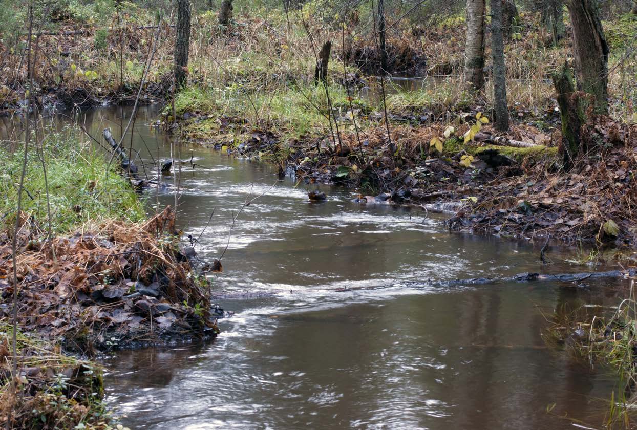 LÄHDEVIITTEET Kirjallisuus Ahtiainen, H., Artell, J., Kosenius, A.-K., Lehtoranta, V. & Seppälä, E. 2013. Katsaus ympäristötaloudellisiin arvottamismenetelmiin. Vesitalous 54: 5 8. Dillman, D.A. 2000.