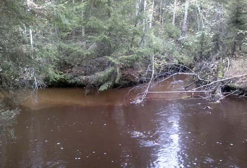 LIITE 2/6 Muiden valuma-alueella sijaitsevien järvien ja lampien nykytila vaihtelee huomattavasti. Monet niistä ovat muuttuneet kuivatuksen seurauksena, kuten esim.