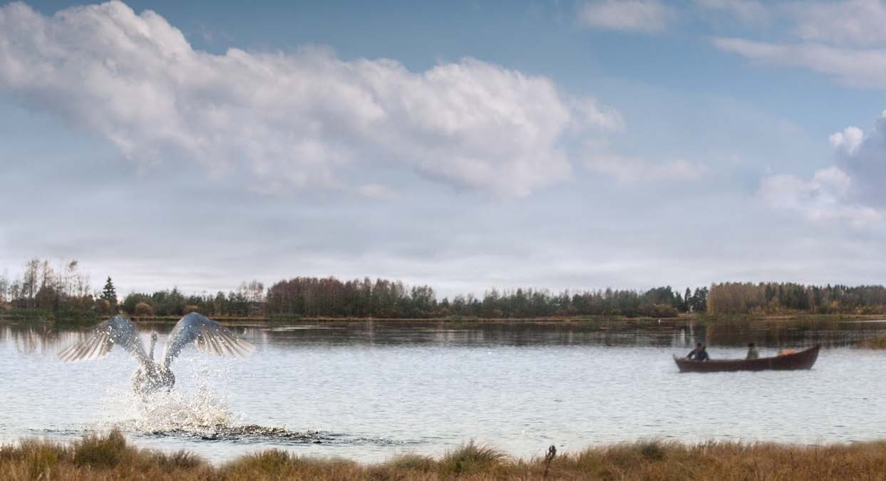 Tutkimuksen tulokset ovat luettavissa myös Metsäpuro-hankkeen ja Kellon kyläyhdistyksen ja Kiimingin Jäälin vesienhoitoyhdistyksen www-sivuilta.