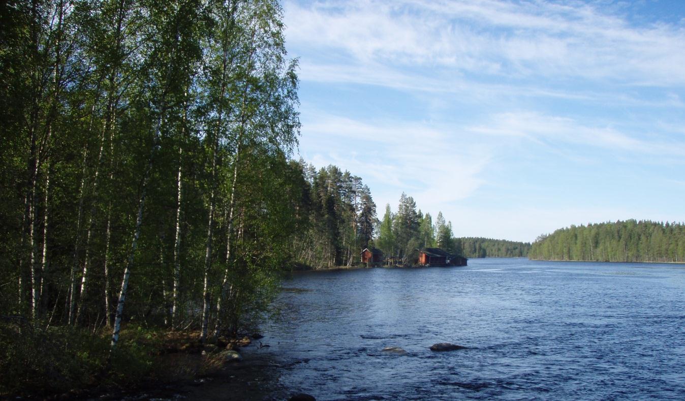 KONNEVEDEN KUNTA Siikaniemen asemakaava Kaavaselostus, luonnos