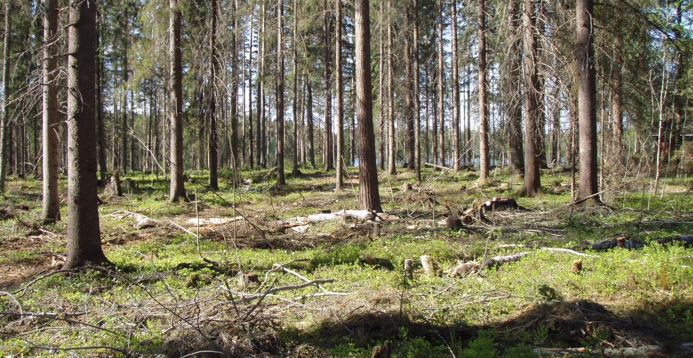 FCG SUUNNITTELU JA TEKNIIKKA OY Kaavaselostus, luonnos 3 (24) Kaikkinensa tutkimusasema tarjoaa käyttäjilleen sadan hengen luentosalin, kurssilaboratorion, n.