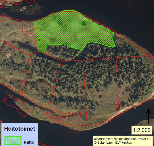 Kuva: Suomen luonnonsuojeluliiton omistama palsta Keminsaarten Kuusisaaressa. Keminsaarilla sijaitsee valtaosa Kemihaaran suot Natura-alueen priorisoidusta luontotyypistä tulvametsistä.