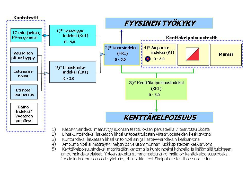 6 Henkilökohtaisen kuntoindeksin muodostuminen HKI muodostuu kahdesta kestävyys- ja kolmesta lihaskuntotestin osa-alueesta. Kestävyystestit ovat 12 min juoksutesti tai polkupyöräergometri.