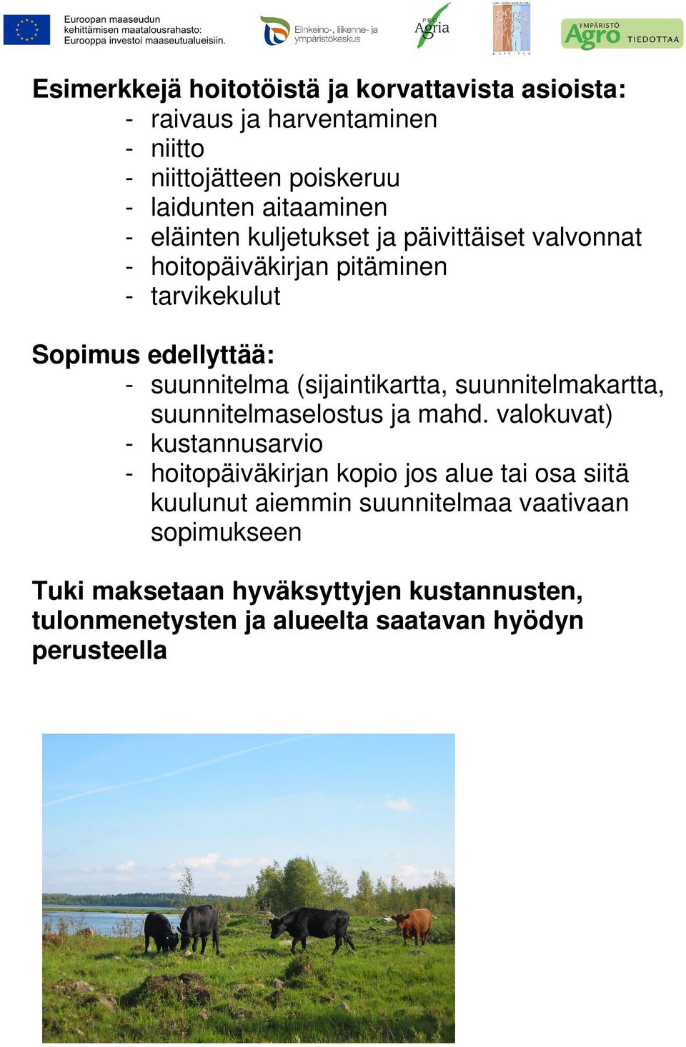 (sijaintikartta, suunnitelmakartta, suunnitelmaselostus ja mahd.