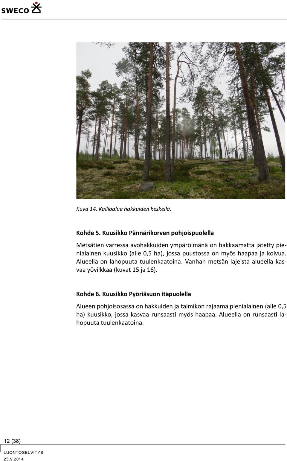 ha), jossa puustossa on myös haapaa ja koivua. Alueella on lahopuuta tuulenkaatoina.