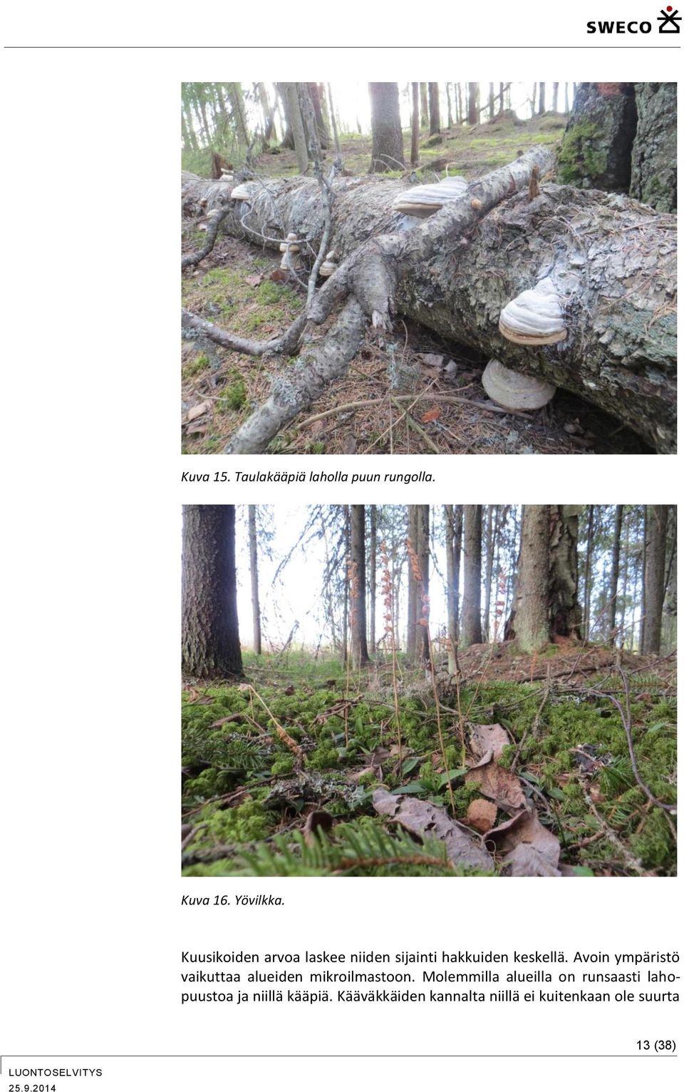 Avoin ympäristö vaikuttaa alueiden mikroilmastoon.