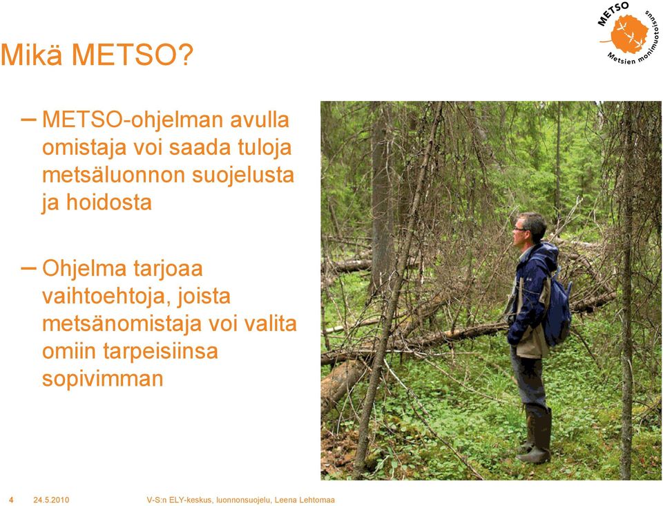 metsäluonnon suojelusta ja hoidosta Ohjelma