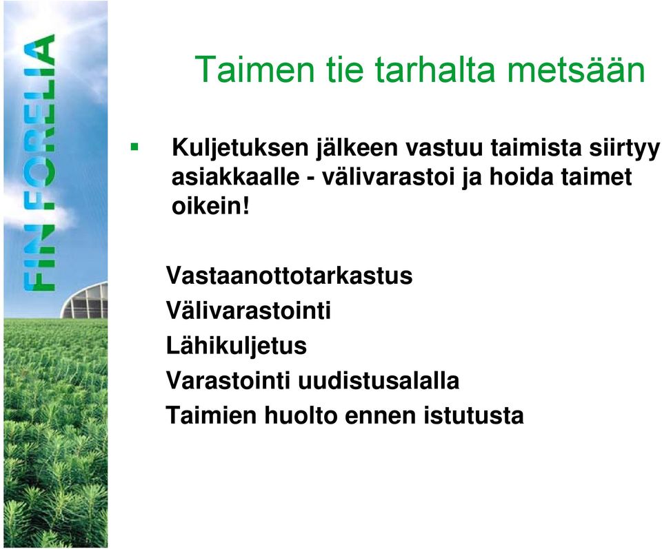 taimet oikein!