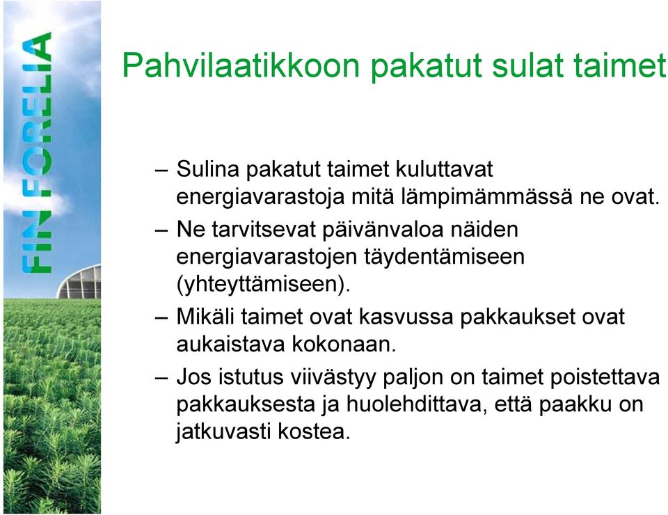 Ne tarvitsevat päivänvaloa näiden energiavarastojen täydentämiseen (yhteyttämiseen).