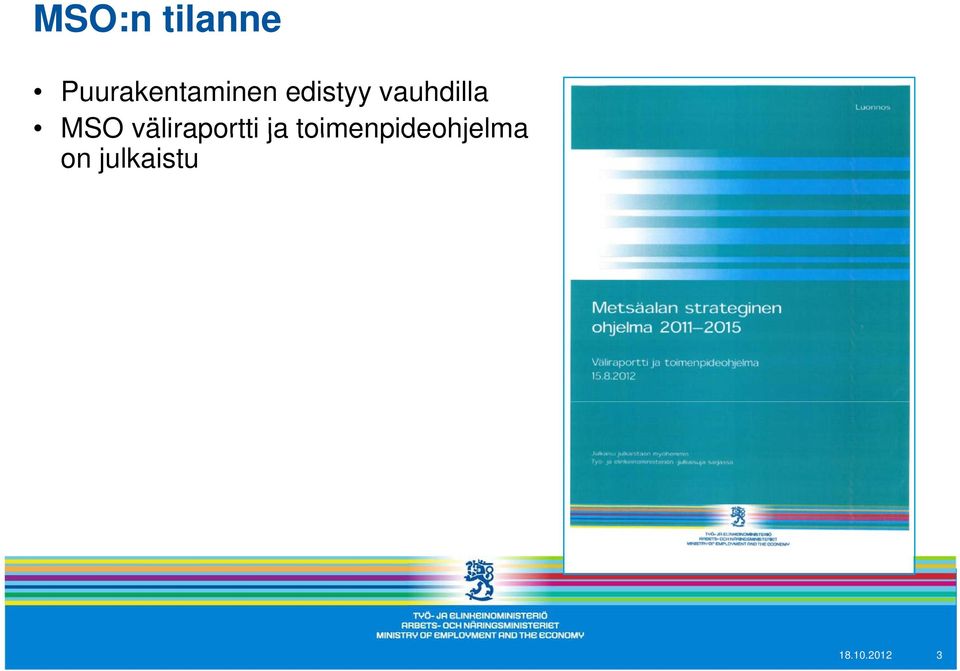 edistyy vauhdilla MSO väliraportti ja