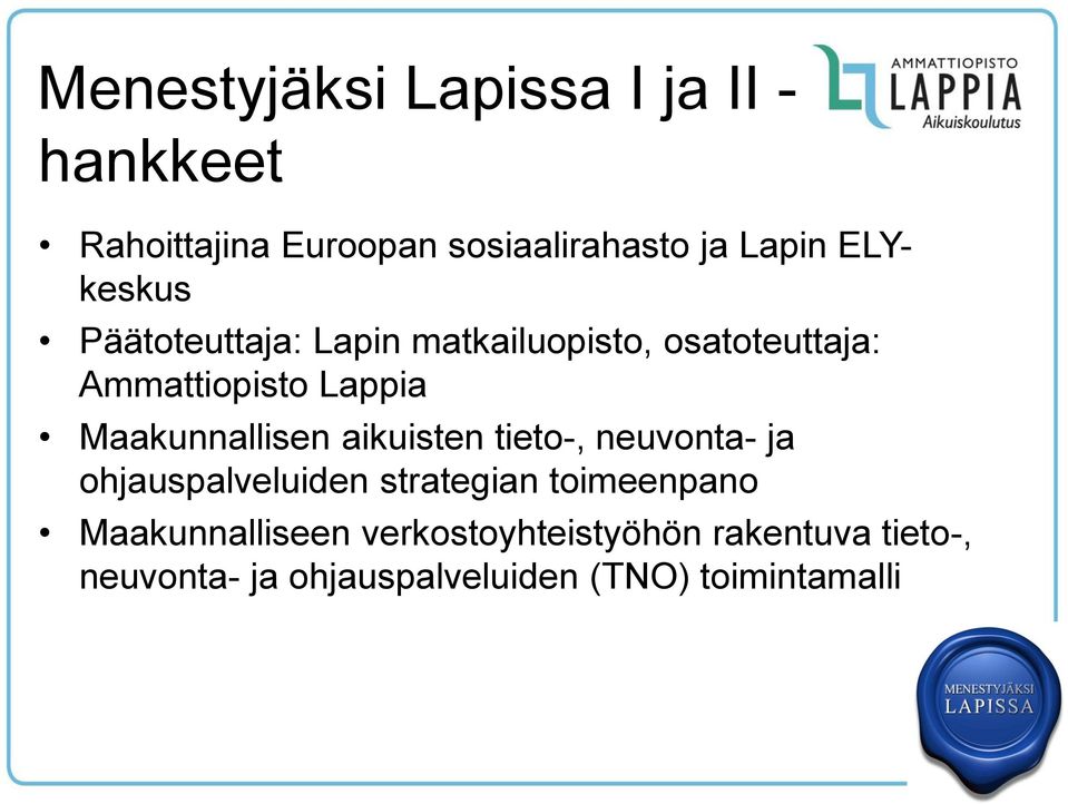 Maakunnallisen aikuisten tieto-, neuvonta- ja ohjauspalveluiden strategian toimeenpano