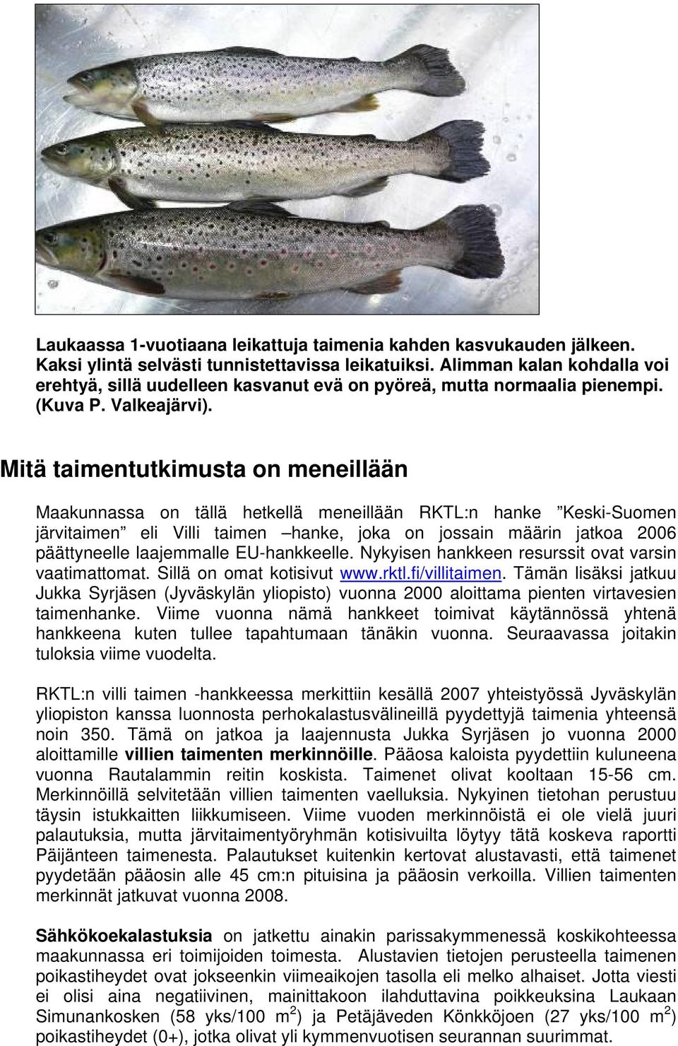 Mitä taimentutkimusta on meneillään Maakunnassa on tällä hetkellä meneillään RKTL:n hanke Keski-Suomen järvitaimen eli Villi taimen hanke, joka on jossain määrin jatkoa 2006 päättyneelle laajemmalle