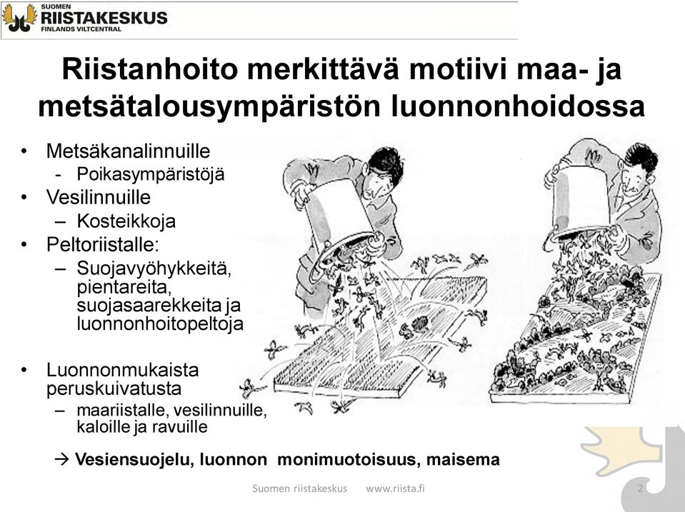 suojasaarekkeita ja luonnonhoitopeltoja Luonnonmukaista peruskuivatusta maariistalle,