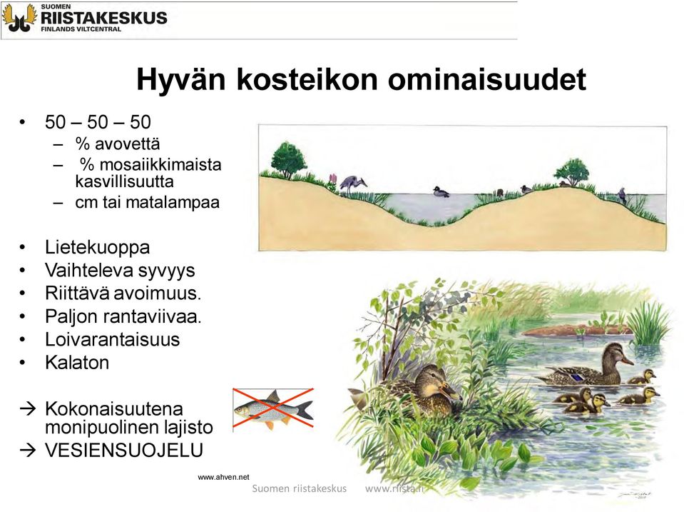 Loivarantaisuus Kalaton Kokonaisuutena monipuolinen lajisto